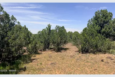 8564 Pine Lane, Show Low, AZ 85901 - Photo 5