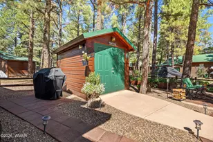 2701 Palomino Trail, Overgaard, AZ 85933 - Photo 23