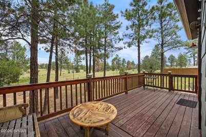 3160 Tonto Drive, Overgaard, AZ 85933 - Photo 25