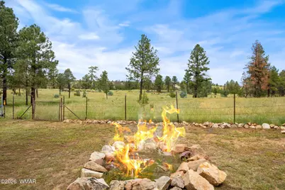 3160 Tonto Drive, Overgaard, AZ 85933 - Photo 29
