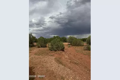 4205 Pinon Lane, Snowflake, AZ 85937 - Photo 7