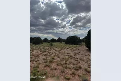 4205 Pinon Lane, Snowflake, AZ 85937 - Photo 3