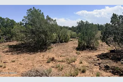 8831 Supancheck Road, Show Low, AZ 85901 - Photo 3