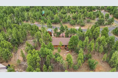 4729 Stallion Road, Happy Jack, AZ 86024 - Photo 43