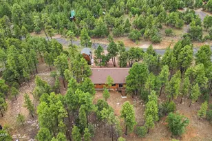 4729 Stallion Rd, Happy Jack, AZ 86024 - Photo 43