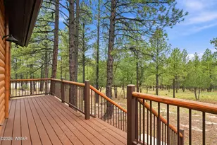 4729 Stallion Rd, Happy Jack, AZ 86024 - Photo 31