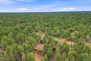 4729 Stallion Rd, Happy Jack, AZ 86024 - Photo 47
