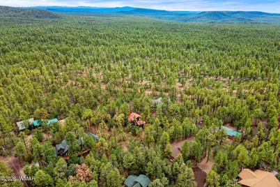 676 W Rim Road, Pinetop, AZ 85935 - Photo 37