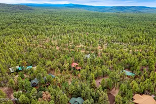 676 W Rim Rd, Pinetop, AZ 85935 - Photo 37