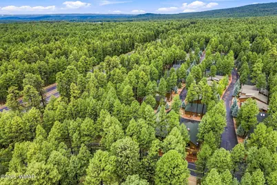 3915 Elk Hollow Lane, Pinetop, AZ 85935 - Photo 43