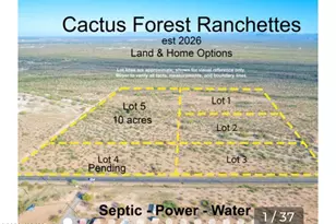 Tbd Cactus Forest, Florence, AZ 85132 - Photo 1