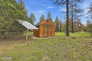 7 Co Rd 2019, Nutrioso, AZ 85932 - Photo 49