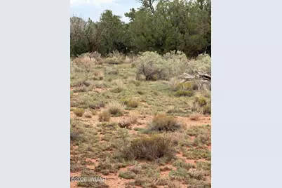 3253 S Laguna Drive, Williams, AZ 86046 - Photo 7