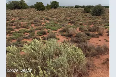 3264 S Coolidge Road, Williams, AZ 86046 - Photo 7