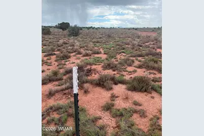 3264 S Coolidge Road, Williams, AZ 86046 - Photo 3
