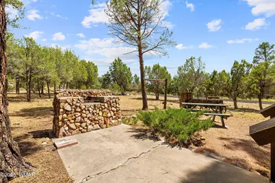 2926 Homestead Drive, Overgaard, AZ 85933 - Photo 25