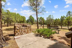 2926 Homestead Dr, Overgaard, AZ 85933 - Photo 25