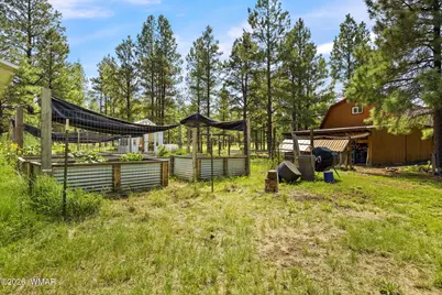 278 Gold Mine Drive, Lakeside, AZ 85929 - Photo 53