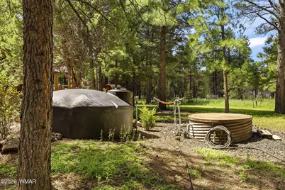 278 Gold Mine Drive, Lakeside, AZ 85929 - Photo 51