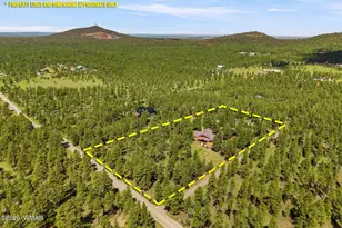 278 Gold Mine Dr, Lakeside, AZ 85929 - Photo 57
