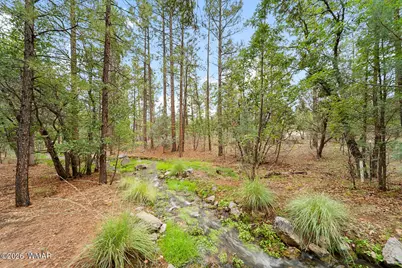 3871 W Sugar Pine Way, Show Low, AZ 85901 - Photo 3