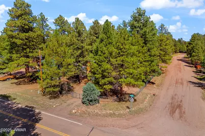 2867 Pine Rim Road, Overgaard, AZ 85933 - Photo 27