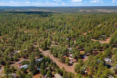 2867 Pine Rim Road, Overgaard, AZ 85933 - Photo 31