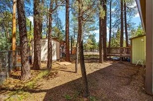 2867 Pine Rim Rd, Overgaard, AZ 85933 - Photo 25