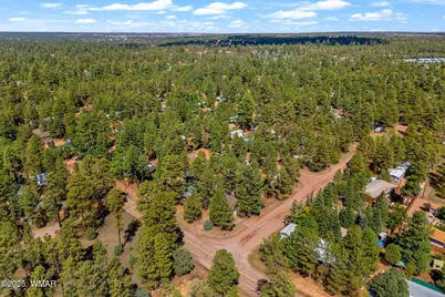2867 Pine Rim Road, Overgaard, AZ 85933 - Photo 29