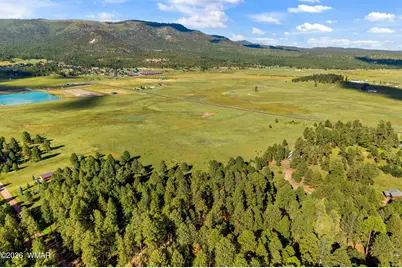 15 Cr N 2145, Alpine, AZ 85920 - Photo 33