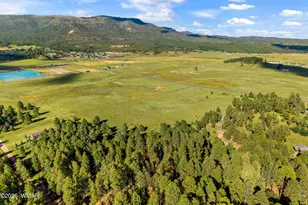15 Cr N 2145, Alpine, AZ 85920 - Photo 33