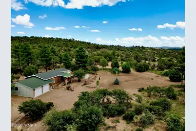 1681 Cactus Flower Road, Show Low, AZ 85901 - Photo 3