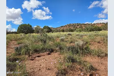 3861 Coronado Road, Snowflake, AZ 85937 - Photo 7