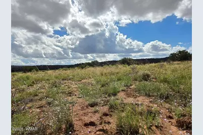 3861 Coronado Road, Snowflake, AZ 85937 - Photo 5