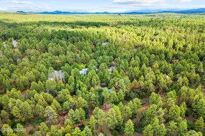 548 S Adair Springs Lane, Pinetop, AZ 85935 - Photo 37