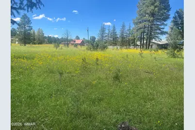 216 N Aztec Circle, Pinetop, AZ 85935 - Photo 35