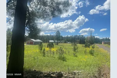 216 N Aztec Circle, Pinetop, AZ 85935 - Photo 27