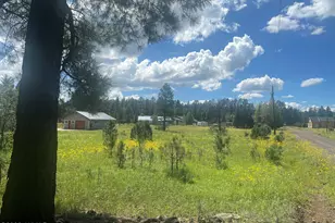 216 N Aztec Cir, Pinetop, AZ 85935 - Photo 27