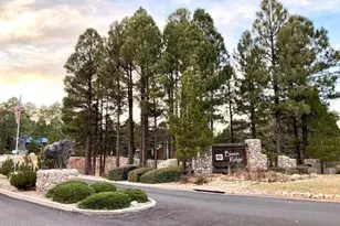 2300 N Cottage Trail, Show Low, AZ 85901 - Photo 3