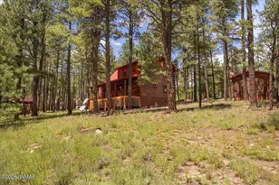 16 County Rd 2271, Alpine, AZ 85920 - Photo 17