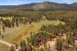 16 County Rd 2271, Alpine, AZ 85920 - Photo 59