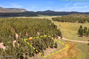 16 County Rd 2271, Alpine, AZ 85920 - Photo 61