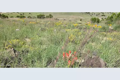 Tbd Cr 8624, Concho, AZ 85924 - Photo 37