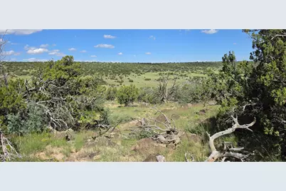 Tbd Cr 8624, Concho, AZ 85924 - Photo 11
