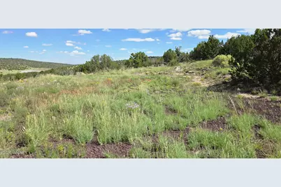 Tbd Cr 8624, Concho, AZ 85924 - Photo 33