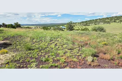 Tbd Cr 8624, Concho, AZ 85924 - Photo 31