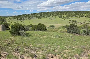 Tbd Cr 8624, Concho, AZ 85924 - Photo 1