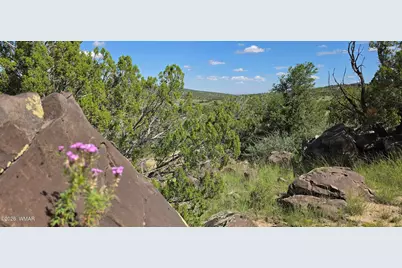 Tbd Cr 8624, Concho, AZ 85924 - Photo 25