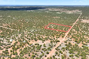 9184C Chimisa Ranch Rd, Show Low, AZ 85901 - Photo 1