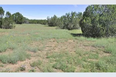 9184C Chimisa Ranch Rd, Show Low, AZ 85901 - Photo 3